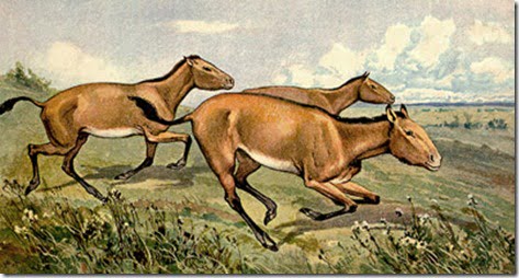 cavalos-antepassados