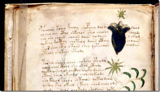 voynich-manuscrito