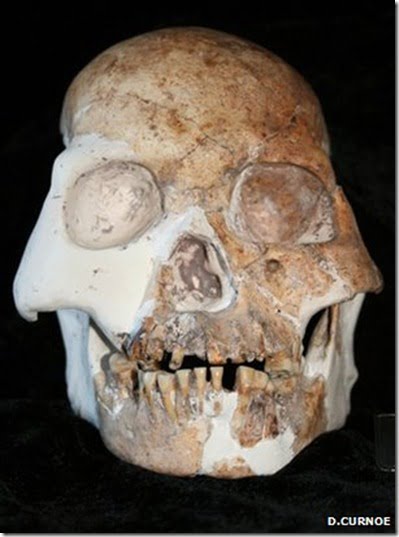 humanos-desconhecidos-cranio