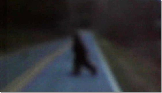 A Shelby, North Carolina man claims to have a video of the legendary Bigfoot. Thomas Byers was driving with a friend when he says he saw Bigfoot cross Golden Valley Church Road in Rutherford County Tuesday evening. Naturally, he whipped out his video camera and was able to capture a five-second video from about 15 to 20 feet away.