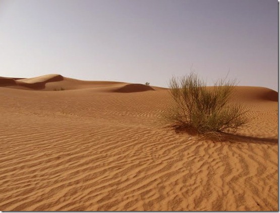 dunas-deserto