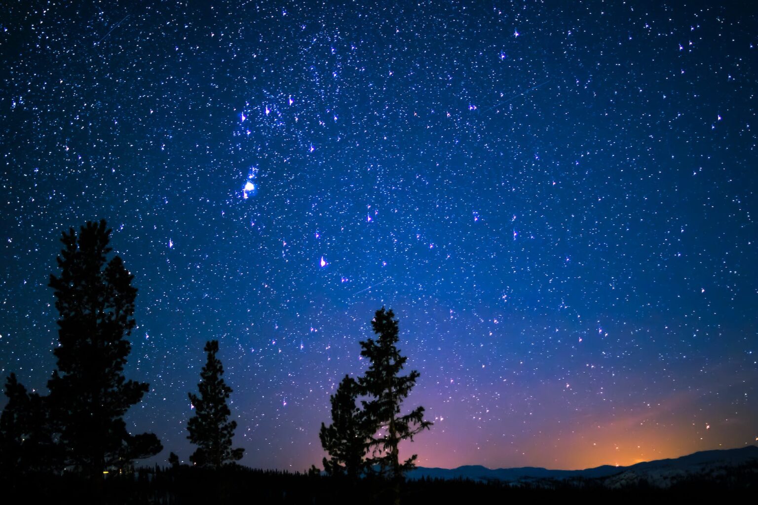 silhouette of trees and mountain under blue starry sky